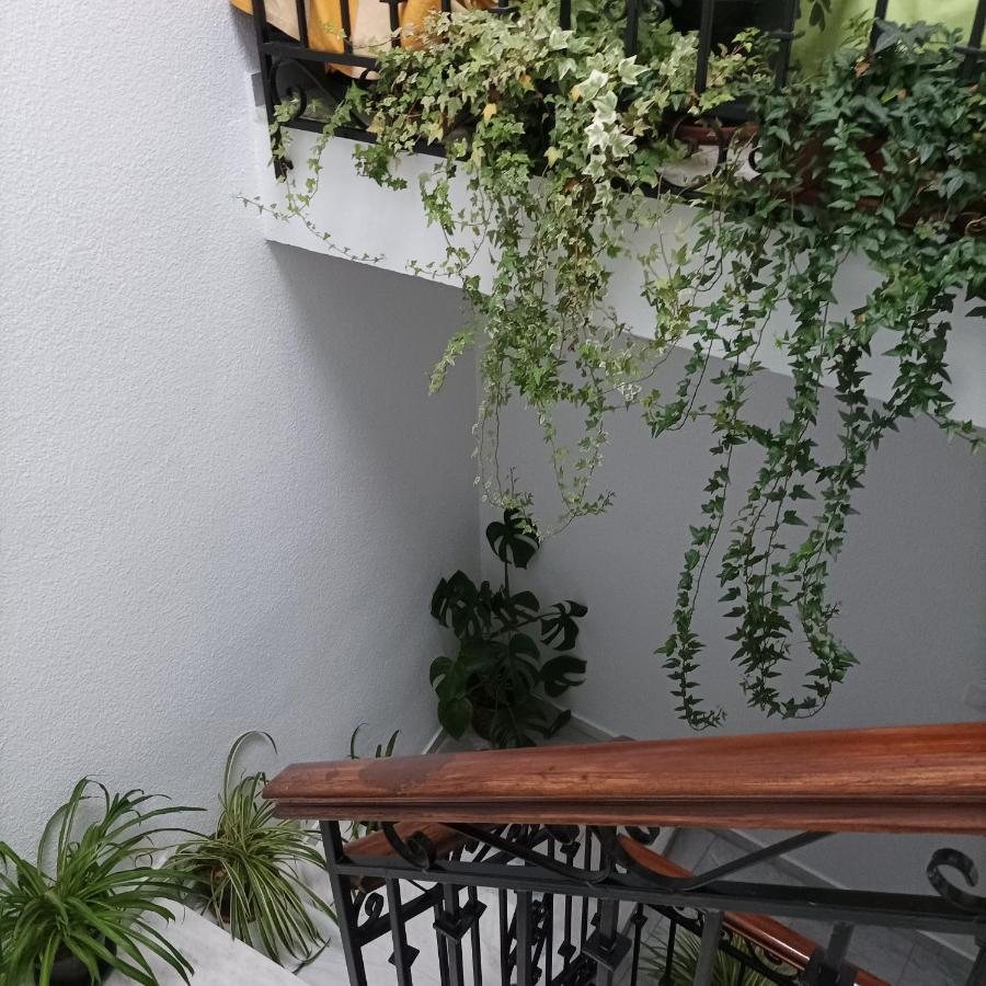 Medina Baguh Apartment Priego De Cordoba Ngoại thất bức ảnh