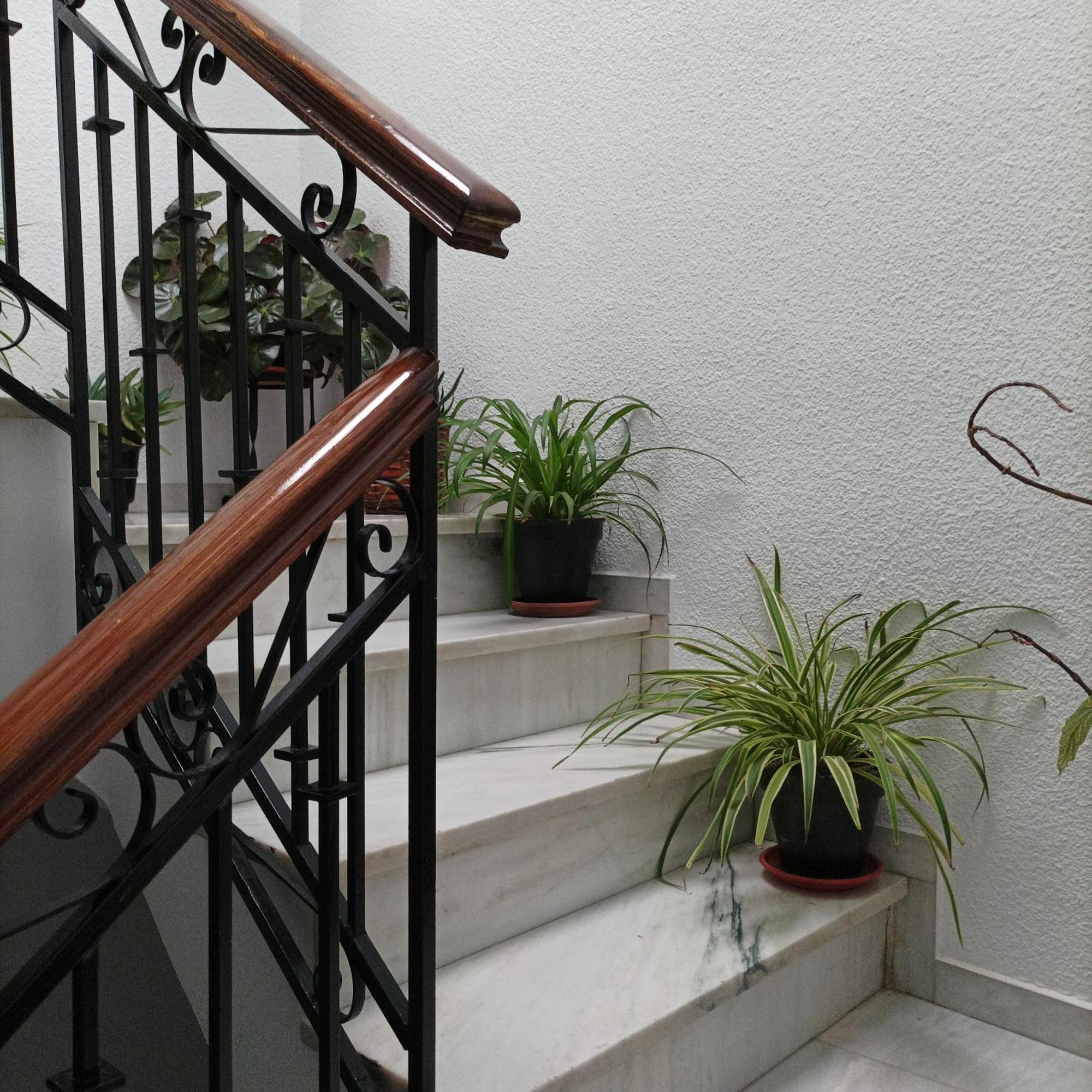 Medina Baguh Apartment Priego De Cordoba Phòng bức ảnh